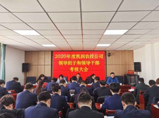 尊龙凯时 召开2020年度向导班子和向导干部审核大会